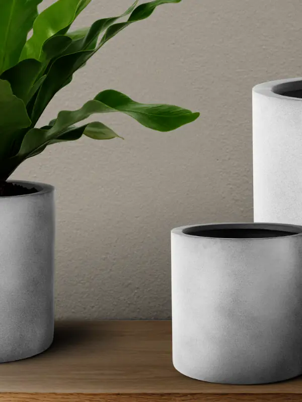 A collection of three different-sized ceramic pots in parchment and sage green tones, styled on a wooden bench in a sunlit room.