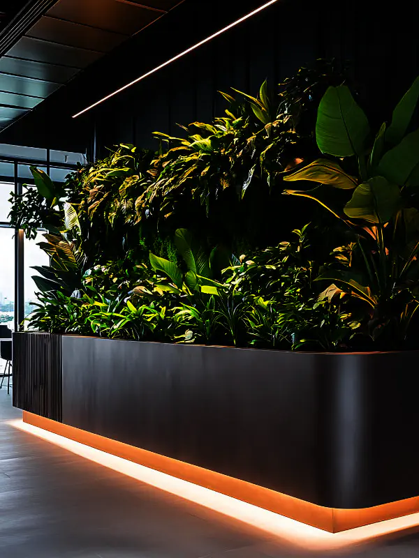 A sleek, modern corporate reception area in Townsville (4810) featuring large, professionally maintained indoor plants in matte black designer pots.