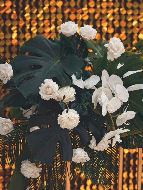 Event plant hire Townsville, wedding greenery rental NQ, short-term office plants. A beautifully styled wedding reception in Townsville featuring rented tropical palms and cascading greenery to create an island-inspired atmosphere.