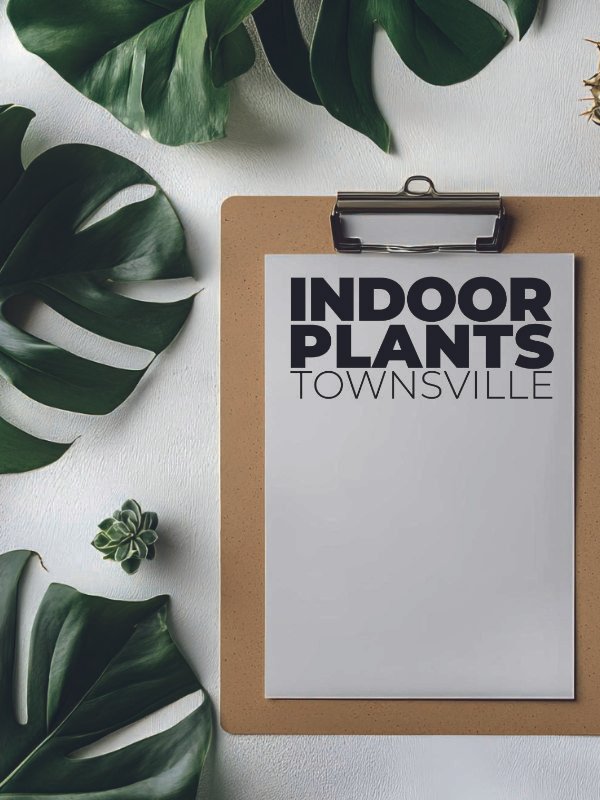 Plant hire cost Townsville, affordable indoor plant rental, office greenery budget. A professional price list and consultation document for Indoor Plants Townsville, displayed next to a thriving desk plant.
