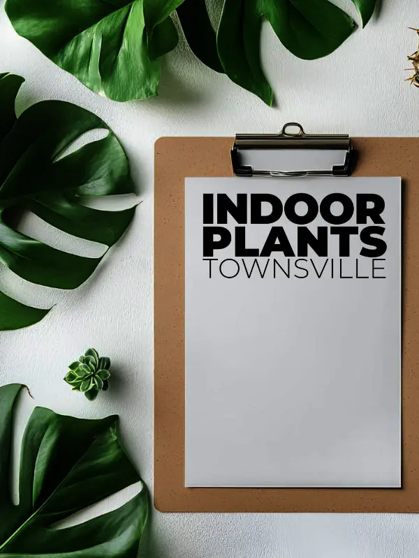 A professional price list and consultation document for Indoor Plants Townsville, displayed next to a thriving desk plant.