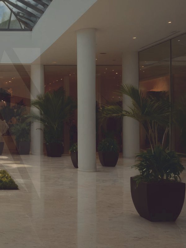 Corporate event plants, Townsville gala greenery, professional event styling. A sophisticated corporate event in Townsville featuring large-scale floor plants and architectural greenery to enhance the professional atmosphere.