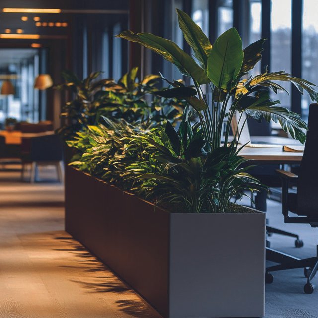 office plant rentals 01