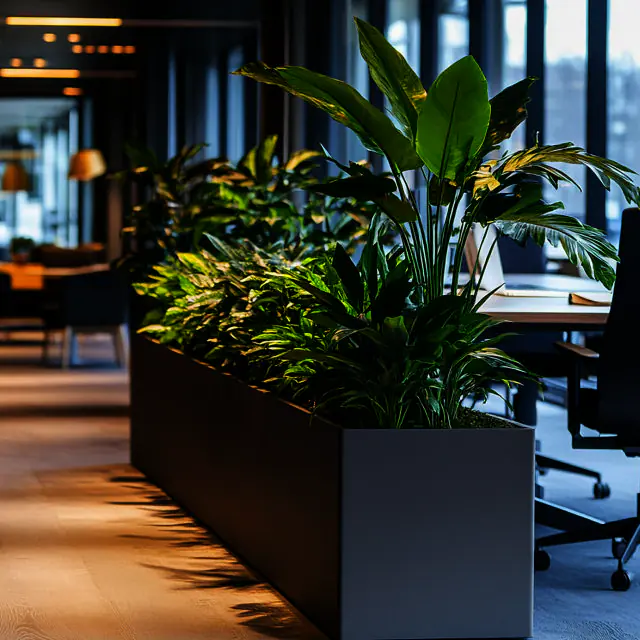 office plant rentals 01