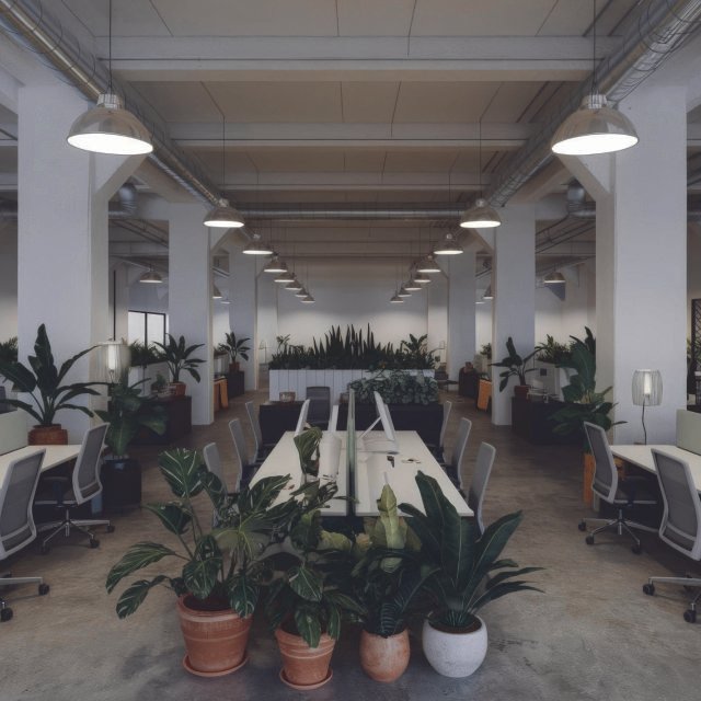 office plant rentals 05