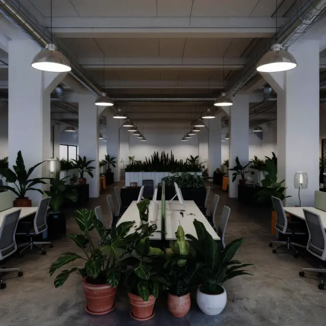 office plant rentals 05