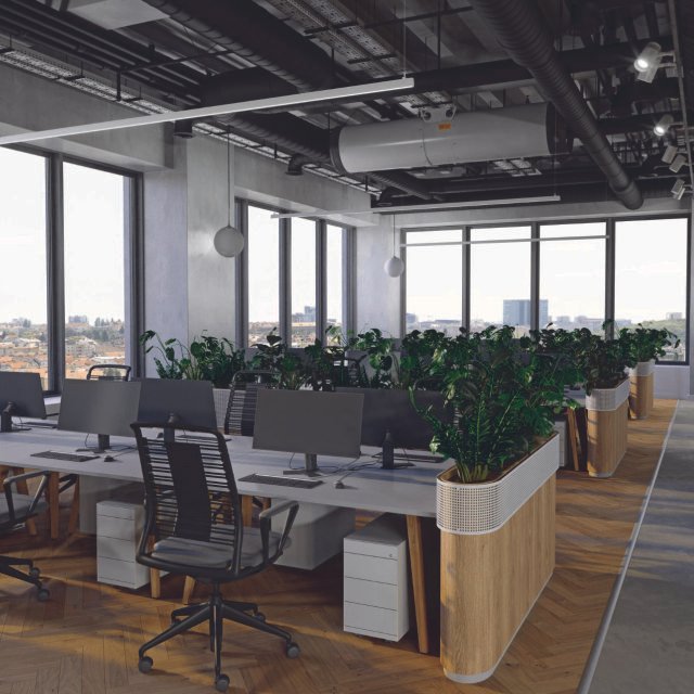 office plant rentals 06