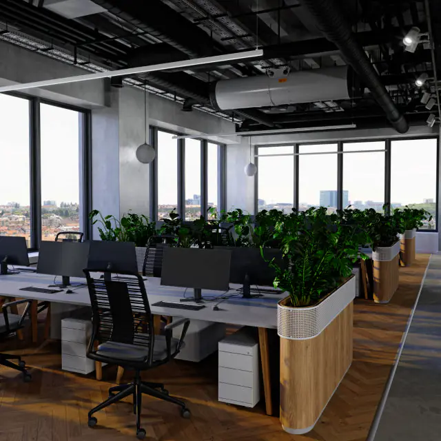 office plant rentals 06